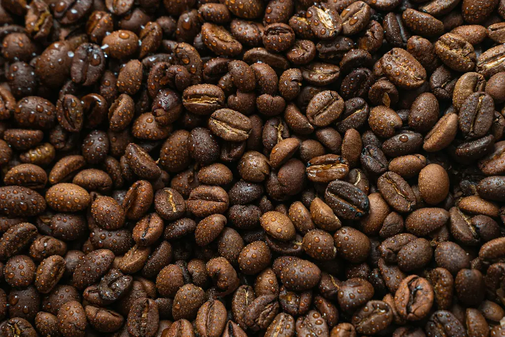 Close-up of dark roasted coffee beans