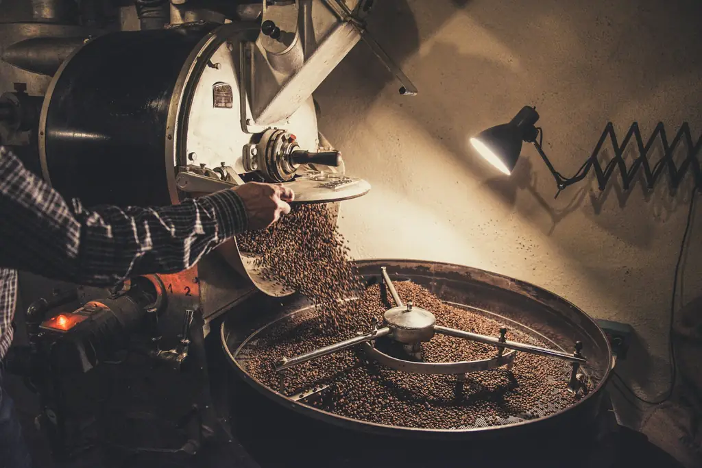 Coffee roaster emptying beans into its cooling tray in a dim roastery