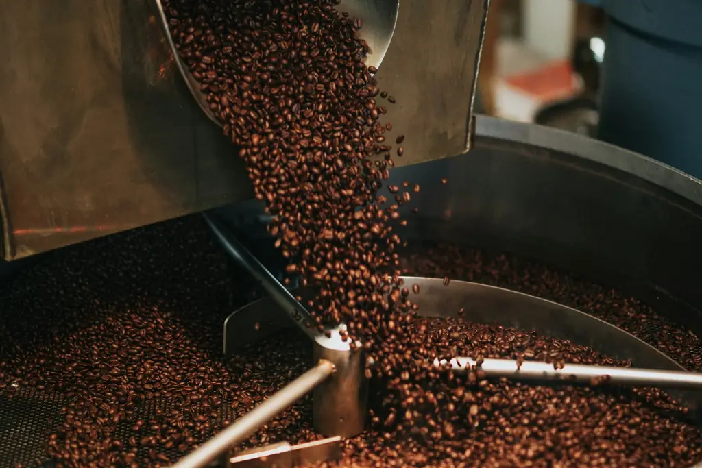 Freshly roasted coffee beans pouring from a drum roaster into its cooling tray